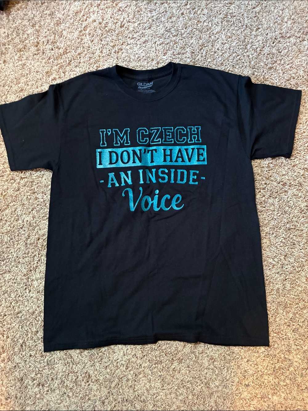 Gildan Black Short‑Sleeve Tee with Teal Statement Graphic